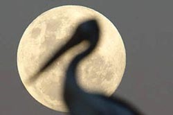 Bulan Terkecil Akan Muncul di Malam Natal 2015